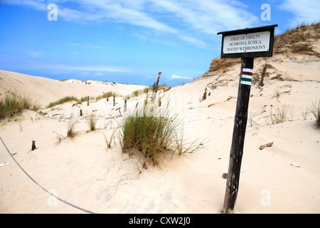 Wanderdünen der Slowinski-Nationalpark in Polen Stockfoto