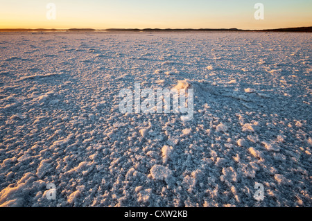 Salz Flocken bedeckt Lake Gairdner im ersten Licht des Tages. Stockfoto