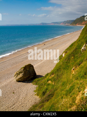 Branscombe Strand und Devon Küste Teil der Süd-West Küste Weg Blick Richtung Sidmouth und Ladram Bay in England Stockfoto