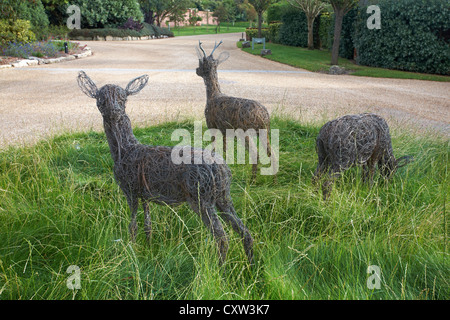 Im September können Sie Hirsche auf dem Gelände des Chewton Glen Hotel & Spa, New Milton, New Forest, Hampshire, Großbritannien, ornamentieren Stockfoto