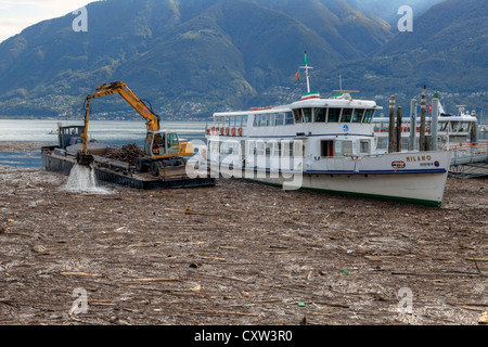 Nach Dem Unwetter Ist Die Bucht Von Locarno Kontaminiert Tessin Schweiz Wochenlang Mit Treibholz Stockfotografie Alamy