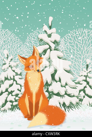 Rotfuchs im Winterwald Stockfoto
