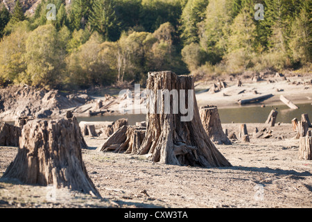 Ein Reservoir mit Stümpfen im unteren Teil das Flussbett ausgetrocknet. Stockfoto