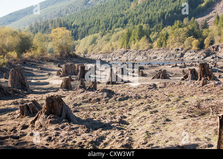 Ein Reservoir mit Stümpfen im unteren Teil das Flussbett ausgetrocknet. Stockfoto