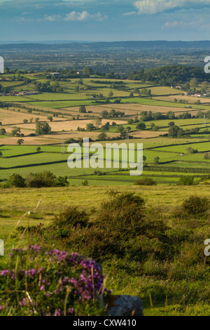 Landszene vom Crook Peak in Somerset, Teil des Wessex Walk Stockfoto