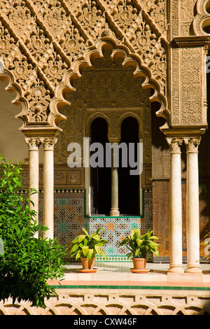 Real Alcazar, Patio del Crucero, Sevilla, Spanien Stockfoto