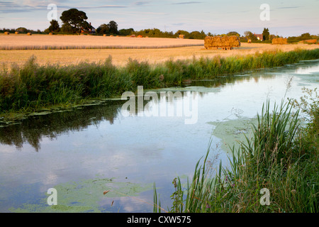 Ernte am Kanal in Somerset in der Abenddämmerung Stockfoto