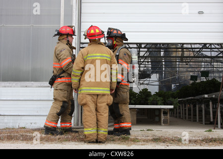 Feuerwehr diskutieren Taktiken auf der Feuer-Szene in einer Gärtnerei Gewächshaus Stockfoto