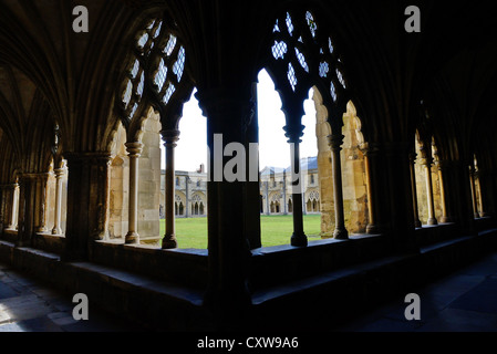 Norwich Kathedrale Kreuzgang und das labyrinth Stockfoto