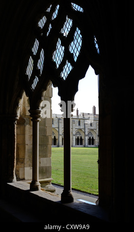 Norwich Kathedrale Kreuzgang und das labyrinth Stockfoto