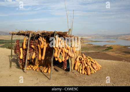 Butter Nuss Kürbis und Zwiebeln für den Verkauf auf einen am Straßenrand stand mit einem See und das Rif-Gebirge in Marokko in die backgrond Stockfoto
