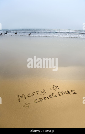 Frohe Weihnachten, geschrieben im Sand am Strand mit Hunden im Meer Stockfoto