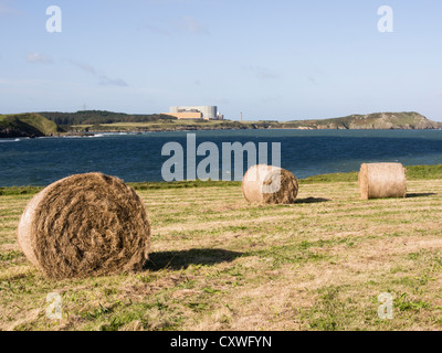 Heuballen mit Kernkraftwerk Wylfa über die Bucht Cemaes Isle of Anglesey North Wales UK Stockfoto