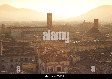 Stadtbild von Lucca aus Guinigi Turm, Lucca, Toskana, Italien Stockfoto