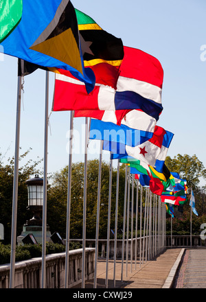 Multi-Nationalflaggen auf Pole Stockfoto