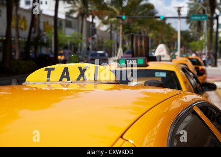 Taxischild auf dem Dach auf Fahrerhaus in Reihe von gelben Taxi Taxis in Miami south beach Florida usa Stockfoto