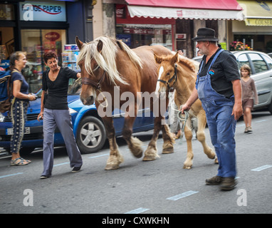 2 Erwachsene Walking Pferde durch St. Girons, Frankreich während der jährlichen Parade Autrefois Le Couserons. Stockfoto