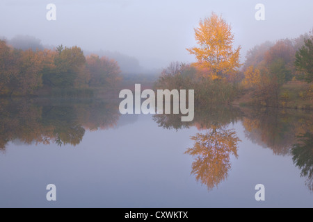 Wunderschöne Herbstlandschaft mit gelben Baum entlang des Flusses und der Spiegelung im Wasser Stockfoto