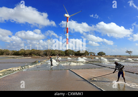 Arbeiter Rechen Salz in Stapeln auf Salz Bauernhof mit Windkraftanlagen im Hintergrund. Stockfoto