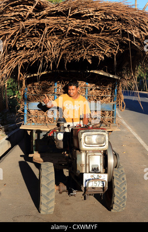 Junge Sri Lankan Mann fahren Basistraktor geladen mit getrockneten Bananenblättern für Bedachung verwendet. Stockfoto