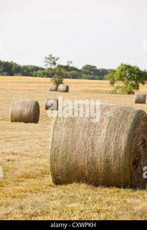 Heuballen im Feld Stockfoto