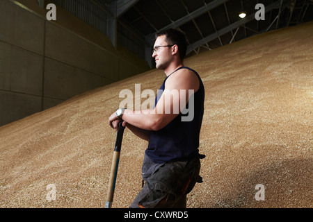 Landwirt im Schuppen von Getreide Stockfoto