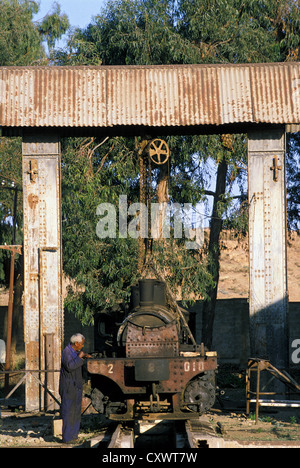 Szene zeigt die Maschinen-Stopp im Dampf Depot in Asmara und die prächtige Böcke Fäkalientank gut 202 010. Stockfoto