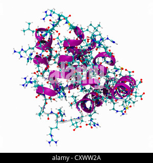Molekulares Modell des Tumor-Nekrose-Faktor-Rezeptor Stockfoto