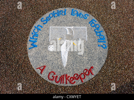 "Welche Seabird liebt Fußball? Ein Gullkeeper ". Tern-Projekt, die steinernen Steg, Morecambe, Lancashire, England, Vereinigtes Königreich, Stockfoto
