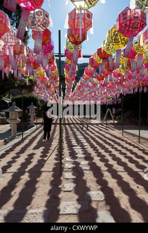 Busan, Südkorea. Laternen mit Nachrichten, die mit ihnen verbunden, über einen Hof in der buddhistischen Beomeosa Tempel hängen. Stockfoto