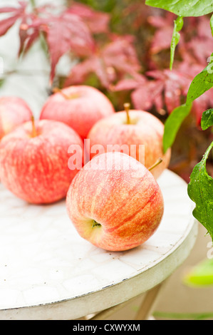 Frische rote Äpfel auf einem Tisch im Garten Stockfoto