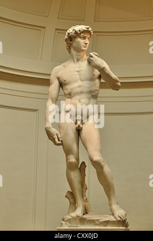 David ist ein Meisterwerk der Renaissance Skulptur, die zwischen 1501 und 1504, des italienischen Künstlers Michelangelo. Stockfoto