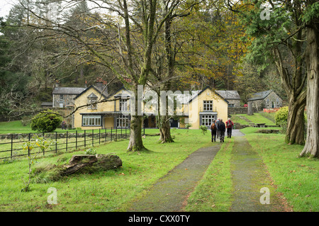 Von Bäumen gesäumten Weg, Craflwyn Hall in Snowdonia-Nationalpark in der Nähe von Beddgelert, Nantgwynant, Gwynedd, Nordwales, UK, Großbritannien Stockfoto