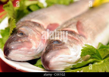 Europa Italien Sardinien Provinz von Oristano Platte Meeräsche Cabras Stockfoto