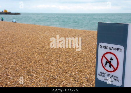 Melden Sie zum Verbot Hunde vom Strand im Frühjahr und Sommer an - keine Hunde anmelden Southsea Strand, England, UK Stockfoto