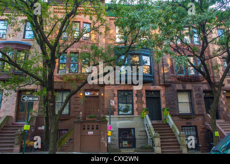 New York City, NY, USA, Straßenszenen, Stadthäuser, Row Houses City, Brownstone Houses Gebäude in Harlem, Morris-Jumel, Manhattan Stockfoto