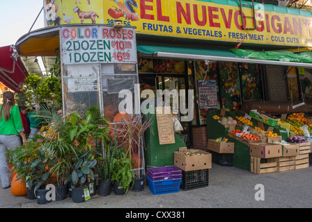 New York City, NY, USA, Straßenszenen, örtlicher Lebensmittelladen vor Ort, Geschäfte am Broadway, Sugar Hill, im spanischen Harlem-Viertel, spanische Schilder, Multi ethnische Geschäfte Straße, ausländische Geschäfte, Lebensmittelgeschäft usa Stockfoto