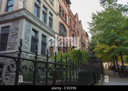 New York City, NY, USA, Straßenszenen, Stadthäuser, Row House, Brownstone Houses Apartmenthäuser in Harlem, Hamilton Heights, Upper Manhattan, Familienunterkunft USA Street, Mietmarkt New York Stockfoto