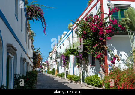 Niedrige Leibhöhe hübsche Häuser in Puerto Mogan Gran Canaria Kanaren Spanien mit Bougainvillea Blumen an Wänden Stockfoto