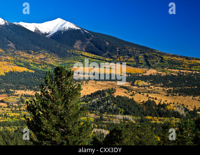 Hart-Prairie Autofahrt nördlich von Flagstaff, AZ frischen Schnee auf Kachina Peaks Wilderness Area. Snowbowl Ski fährt, Coconino Nat'l für. Stockfoto