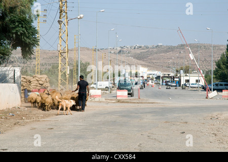 Ein Hirte geht mit seiner Schafherde in der Nähe des libanesischen Grenzübergangs nach Syrien in der Region Wadi Khaled im Nordlibanon. Stockfoto