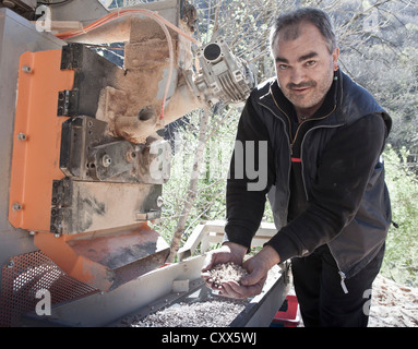 Tischler mit Holz-chips Stockfoto