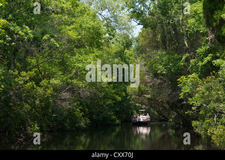 Kleines Boot auf Pfeffer Creek, Florida Stockfoto