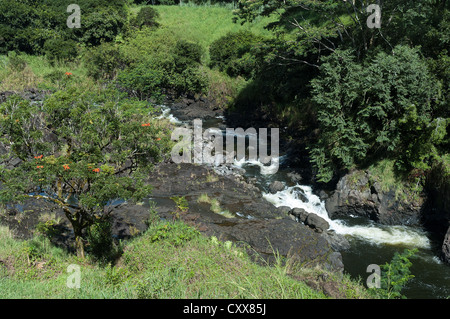 Elk284-2184 Hawaii, Big Island, Hilo, Rainbow Falls Stockfoto