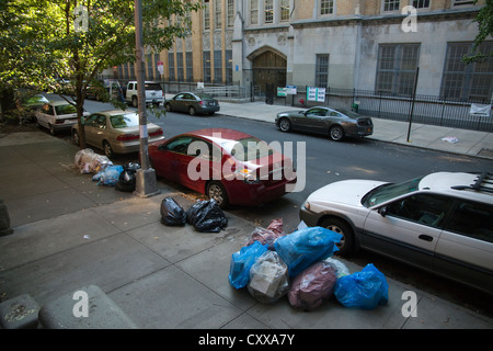 Papierkorb Warten auf Abholung Brooklyn, New York, USA Stockfoto