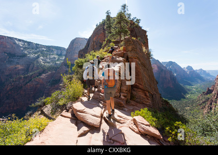 Menschen, die eine anstrengende Angel Landing Wanderweg im Zion National Park - schöne Ausblicke Stockfoto