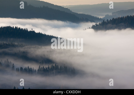 Nebel im Schwarzwald über See Schluchsee, Breisgau im Schwarzwald, Baden-Württemberg Stockfoto