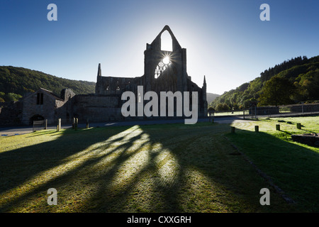 Tintern Abbey, Wye Valley, Monmouthshire. Wales. VEREINIGTES KÖNIGREICH. Stockfoto