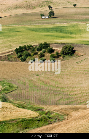 Blick auf Felder in Andalusien, Spanien, Europa Stockfoto