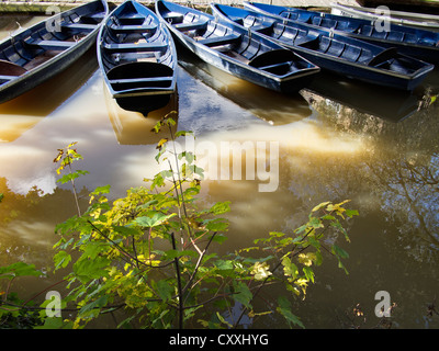 Ruderboote festgemacht von Folly Bridge Oxford Stockfoto